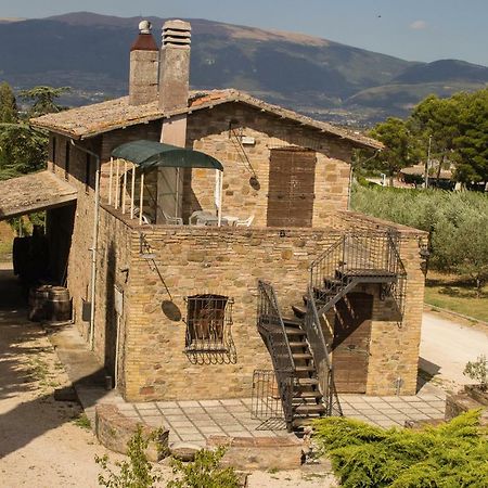 Country House Carmelita Limigiano 外观 照片