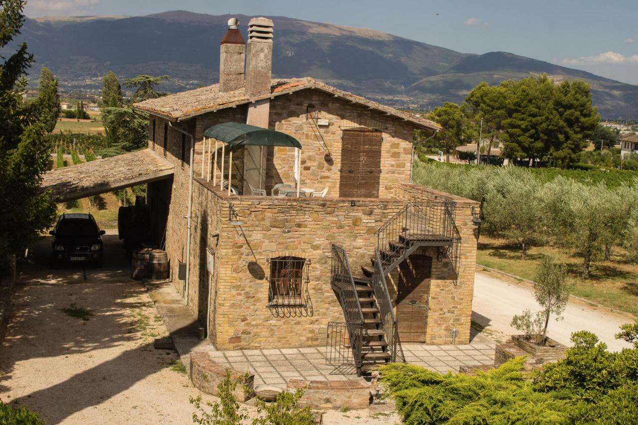 Country House Carmelita Limigiano 外观 照片